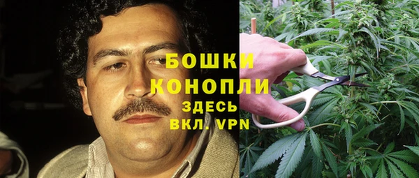 дмт Покровск