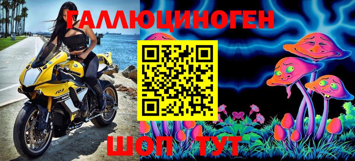 купить закладку  Псилоцибиновые грибы прущие грибы  Вход с VPN  Мытищи 