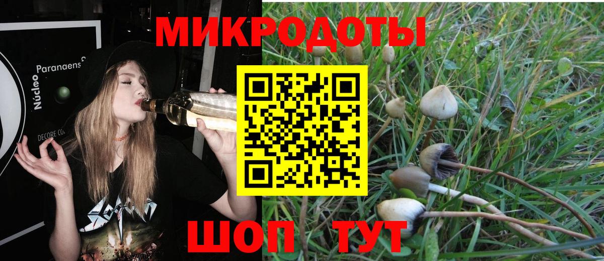Псилоцибиновые грибы ЛСД Мытищи